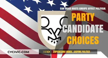 Grassroots Power: Shaping Political Party Candidate Selections Effectively