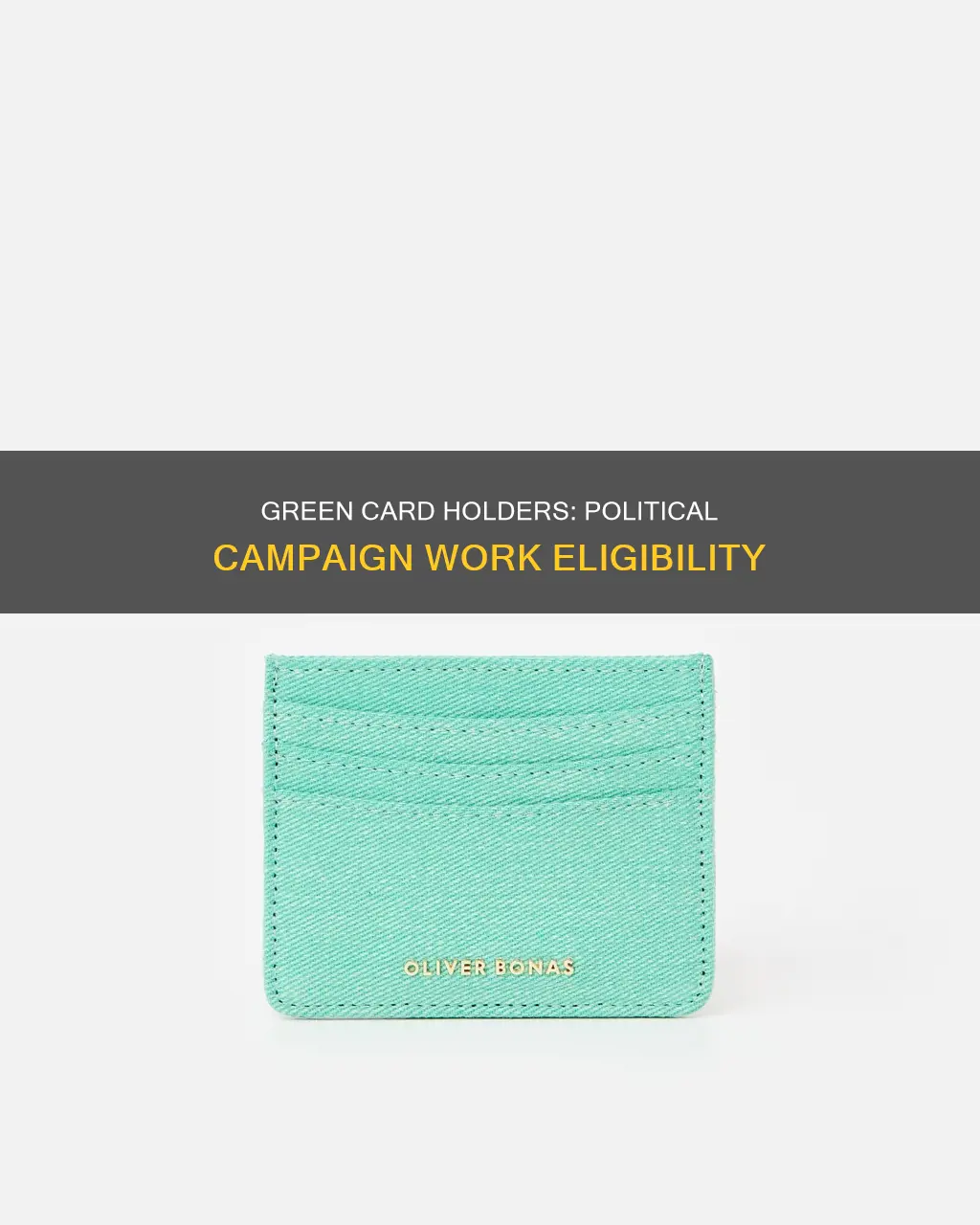 can green card holders work in political campaigns