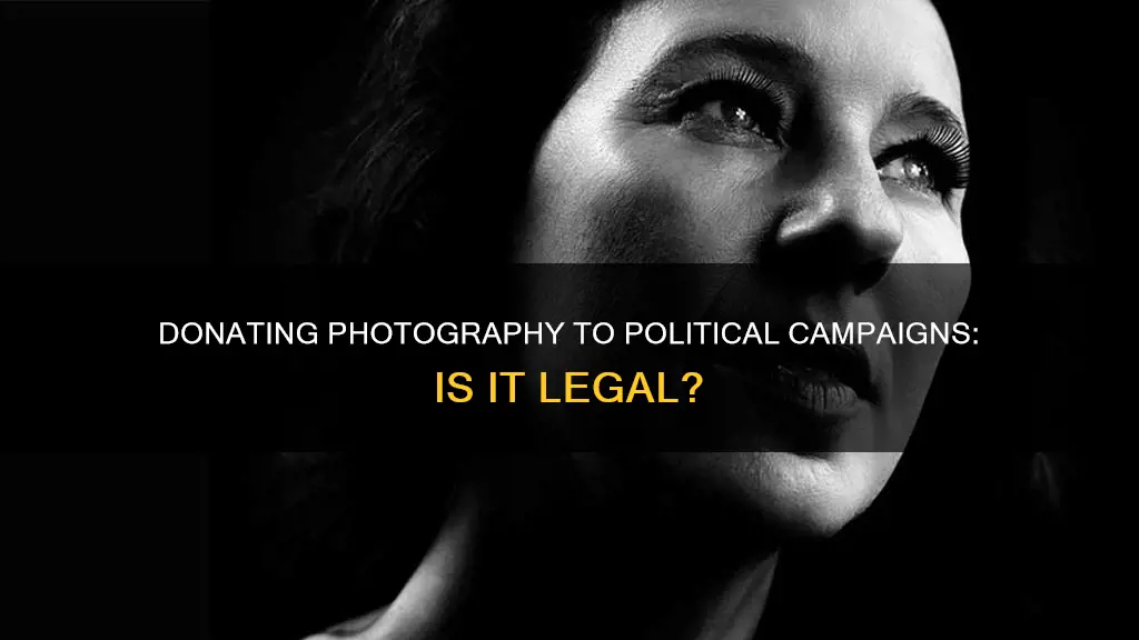 can i donate photography to political campaign