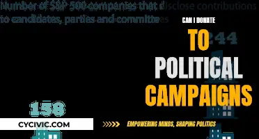 Donating to Political Campaigns: Your Rights and Limits