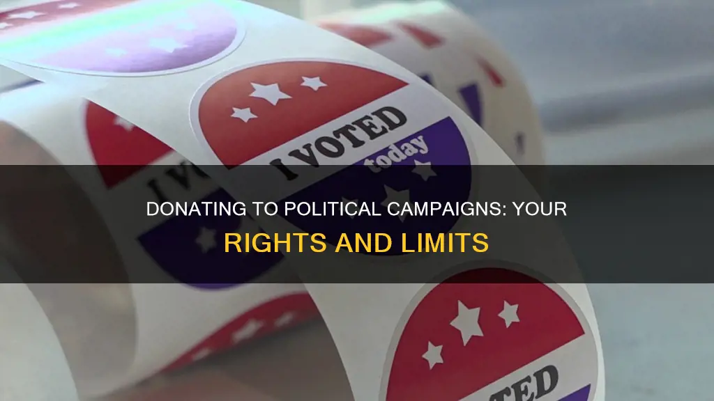 can i donate to political campaigns