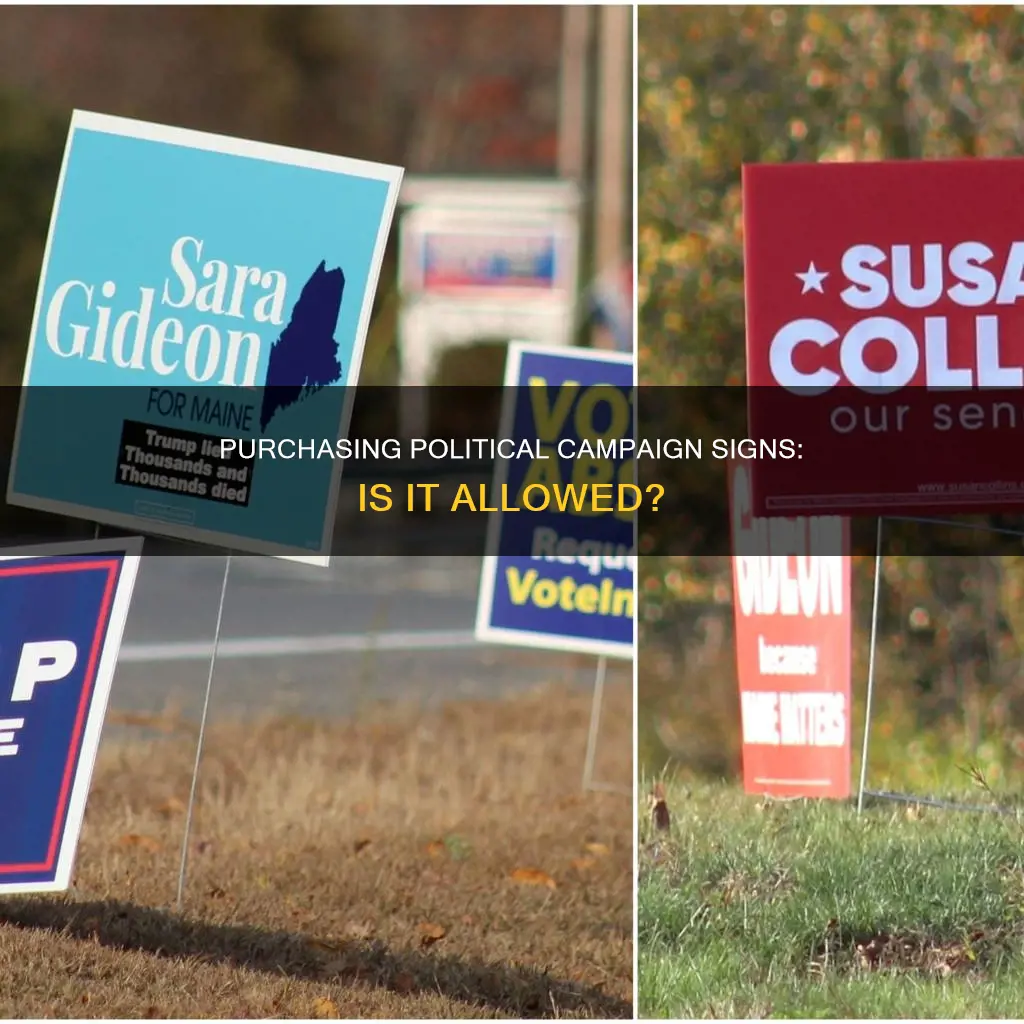can i just buy signs for my own political campaign