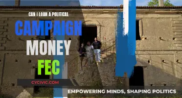 Loaning Money to Political Campaigns: FEC Guidelines Explained