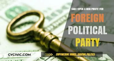 Can You Establish a Nonprofit for a Foreign Political Party?