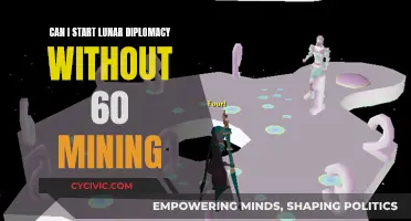 Lunar Diplomacy: Mining Skill Requirements and Workarounds