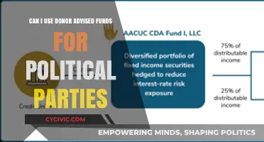 Using Donor-Advised Funds for Political Parties: Legal or Off-Limits?