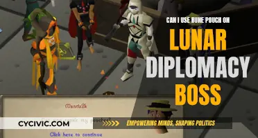 Rune Pouch Use on Lunar Diplomacy Boss?
