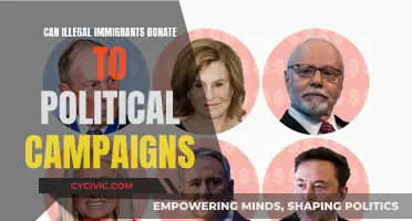 Undocumented Donors: Political Campaign Contributions and Immigration Status