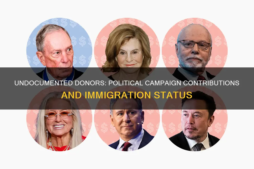 can illegal immigrants donate to political campaigns