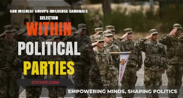Interest Groups' Role in Shaping Political Party Candidate Selection