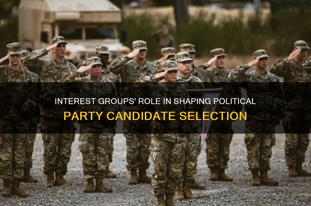 can interest groups influence candidate selection within political parties