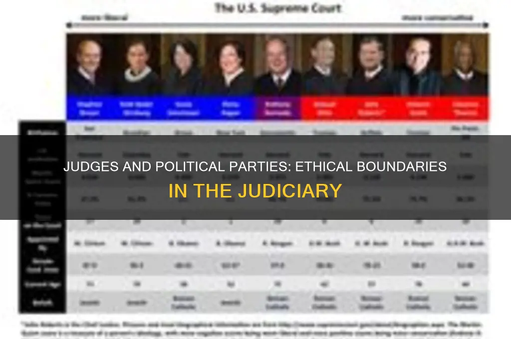 can judges have a political party
