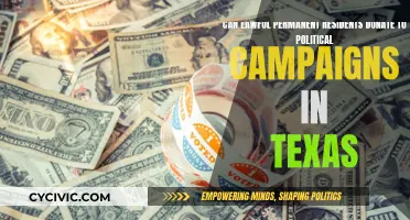 Permanent Residents' Political Campaign Donations in Texas: Legal?