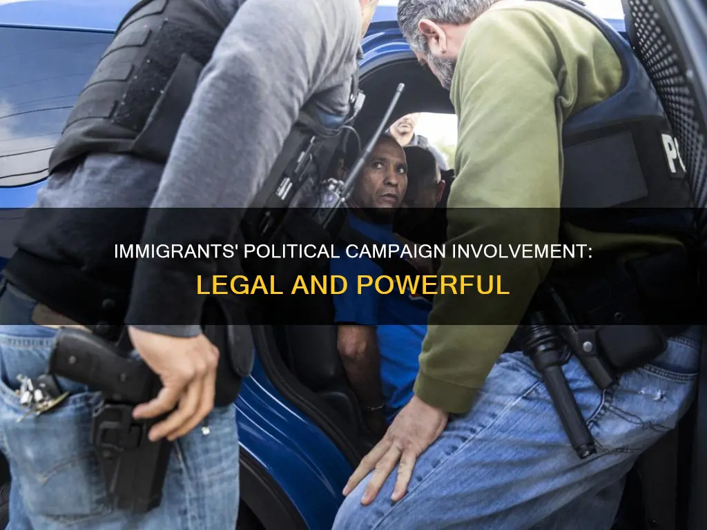 can legal immigrants help on political campaigns