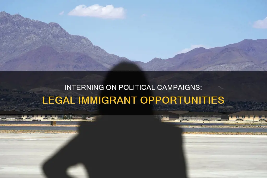 can legal immigrants intern on political campaigns