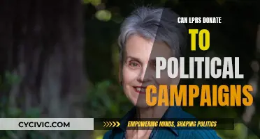 LPRs' Political Campaign Donations: Legal or Not?