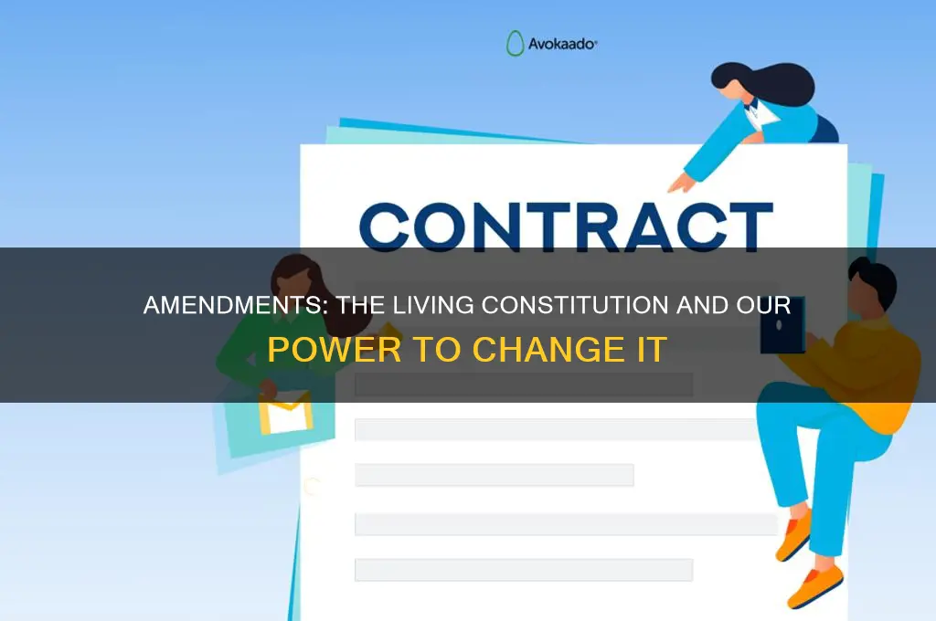 can make amendments to the constitution fill in the blanks