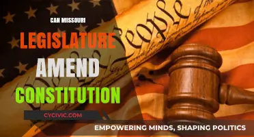 Missouri Legislature: Constitutional Amendments Explained