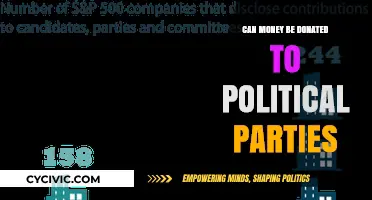 Donating to Political Parties: Legal, Ethical, and Financial Considerations
