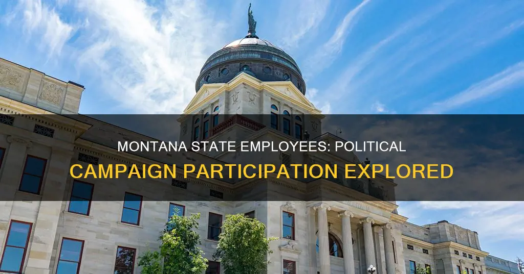 can montana state employees political campaign