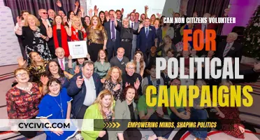 Volunteering in Political Campaigns: Non-Citizen Participation