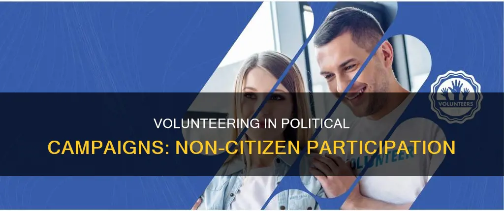 can non citizens volunteer for political campaigns