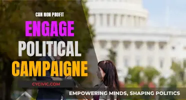 Non-Profits: Political Campaigning and Its Legal Boundaries