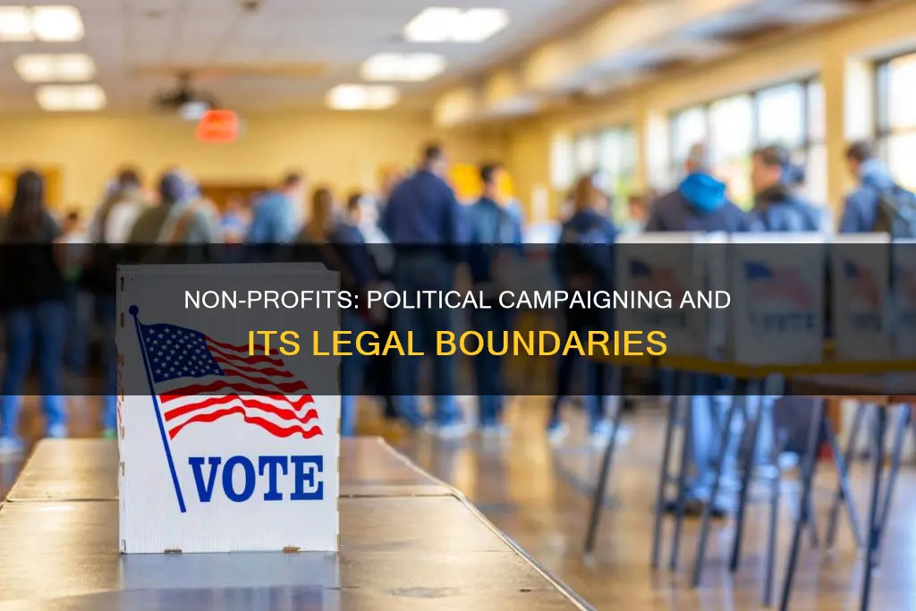 can non profit engage political campaigne