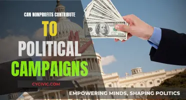 Nonprofits and Politics: Can They Mix?