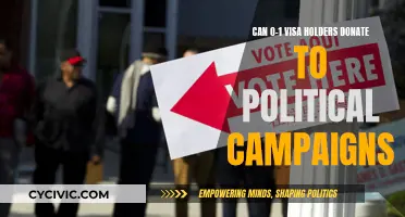 Visa Holders and Political Campaign Donations: Is It Allowed?