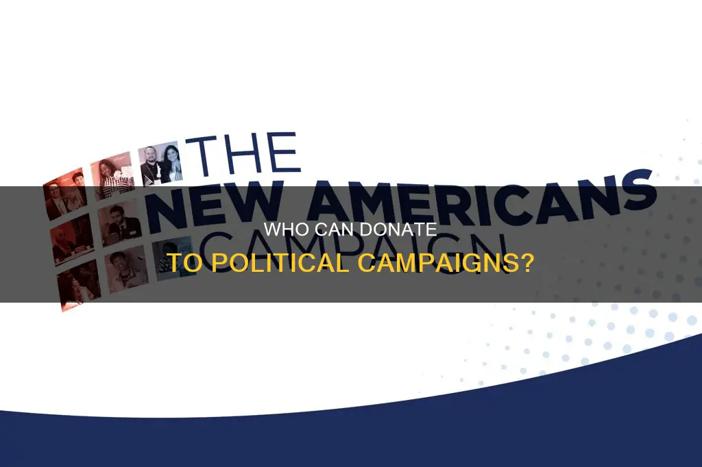 can only citizens donate to political campaigns