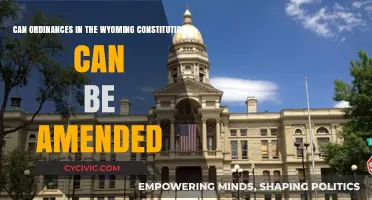 Wyoming Constitution: Can Ordinances Be Amended?