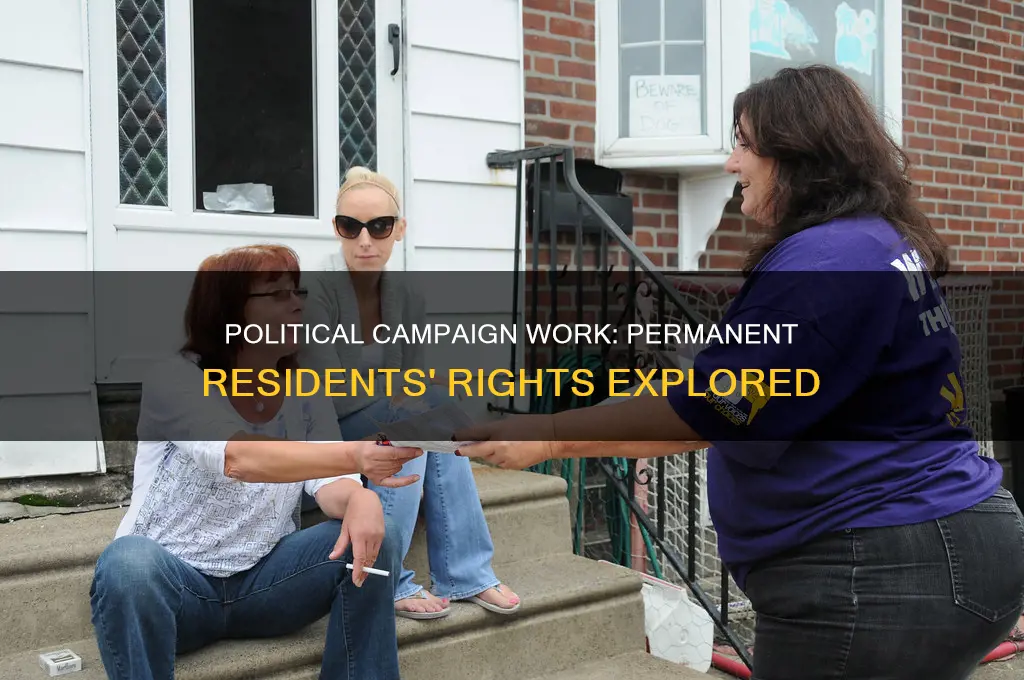 can permanent residents work on political campaigns
