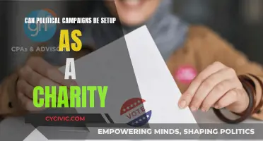 Political Campaigns: Charities or Not?