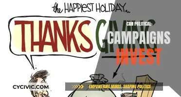 Political Campaigns: Investing for Victory?