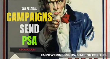 Political Campaigns: PSA Power and Potential