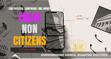 Foreign Money in Politics: Legal or Not?