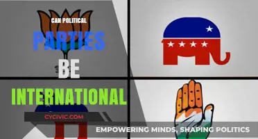 Can Political Parties Transcend Borders? Exploring International Political Organizations