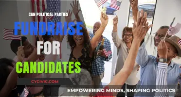 Political Fundraising: Can Parties Legally Support Their Candidates?