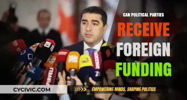 Foreign Funding for Political Parties: Legal, Ethical, or Risky?