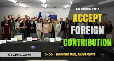 Foreign Funding for Political Parties: Legal, Ethical, or Risky?