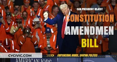 President's Power: Vetoing Constitutional Amendments