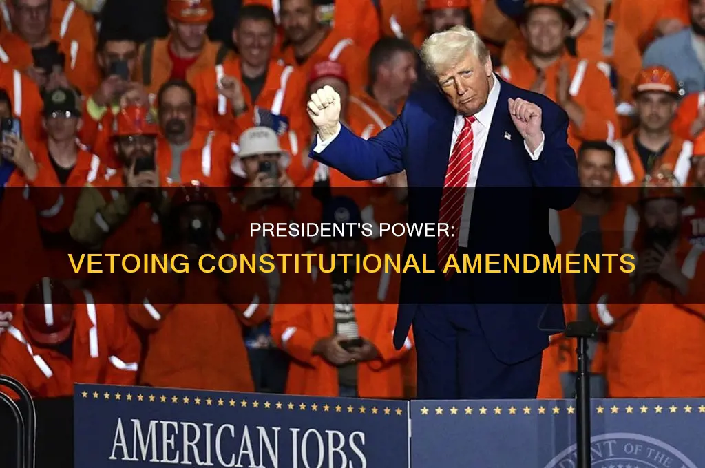 can president reject constitutional amendment bill
