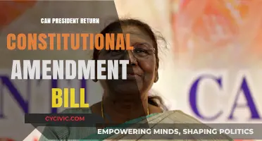 President's Power: Returning Constitutional Amendment Bills