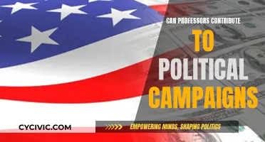 Professors' Political Campaign Contributions: Ethical or Not?