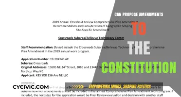 Who Can Propose Amendments?