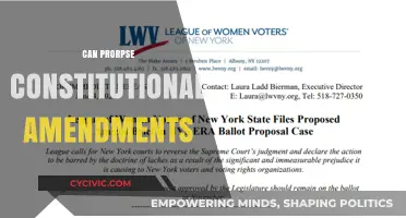 Who Can Propose Constitutional Amendments?