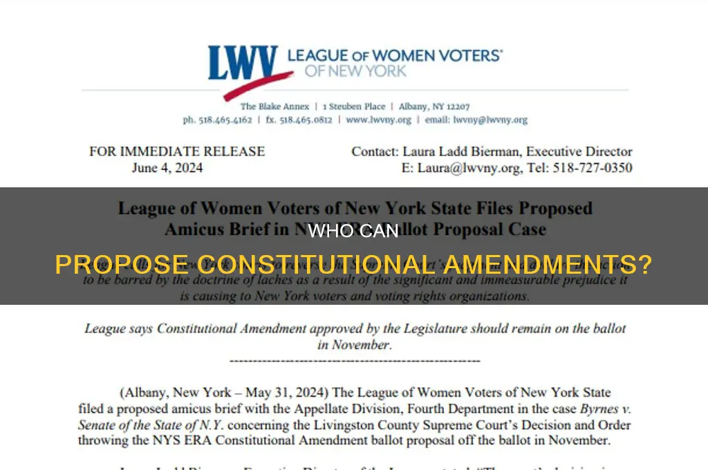 can prorpse constitutional amendments