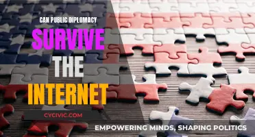 The Internet's Impact on Public Diplomacy's Future