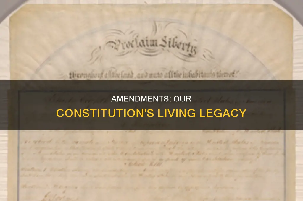 can recommend amendments to the constitution